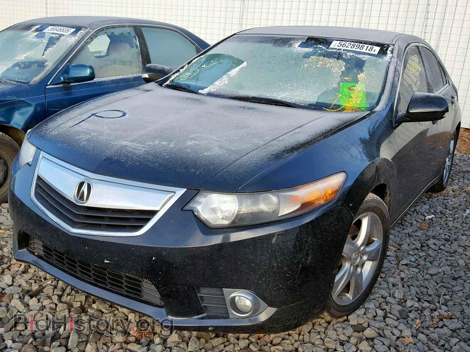 2011 ACURA TSX - VIN: JH4CU2F65BC009771 - Фото 2