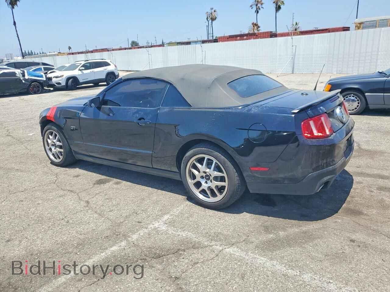 2010 FORD MUSTANG - VIN: 1ZVBP8FH1A5119337 - Фото 2