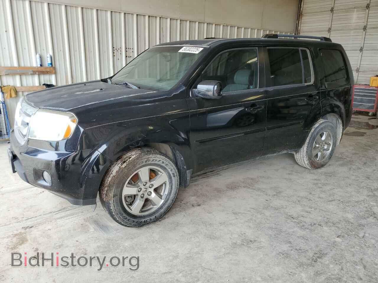 Photo 5FNYF3H64BB034779 - HONDA PILOT 2011