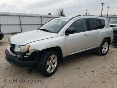 2011 Jeep COMPASS SPORT, silver — VIN 1J4NF1FBXBD281166, Copart