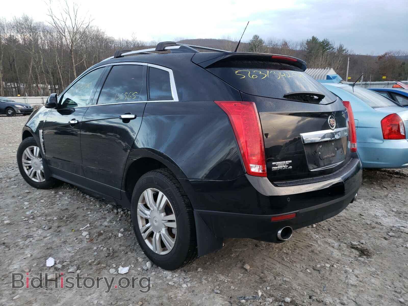 2010 CADILLAC SRX - VIN: 3GYFNDEY2AS645030 - Фото 3