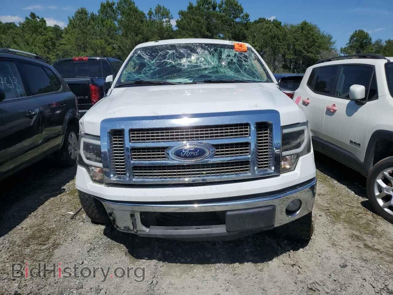 2011 FORD F-150 - VIN: 1FTFW1EF9BFB13909 - Фото 5