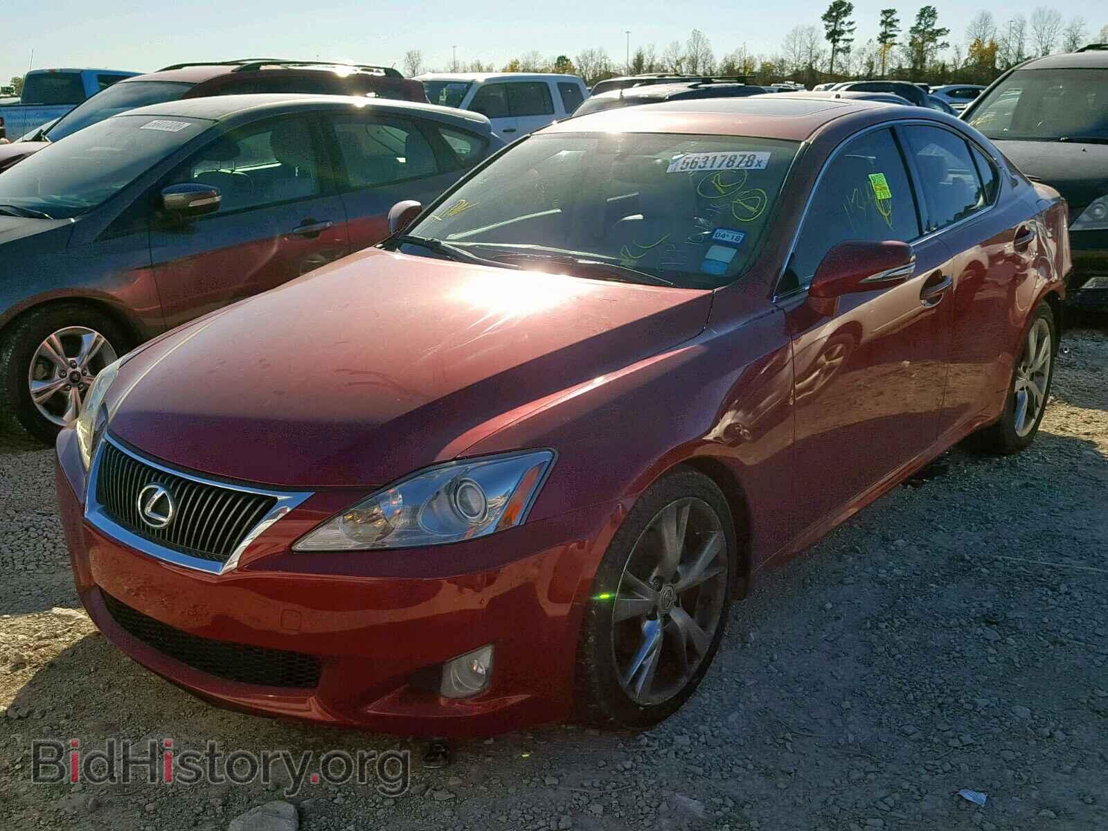 2010 LEXUS IS 250 - VIN: JTHBF5C2XA2096788 - Фото 2