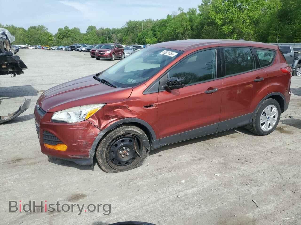 Photo 1FMCU0F76EUD15001 - FORD ESCAPE 2014