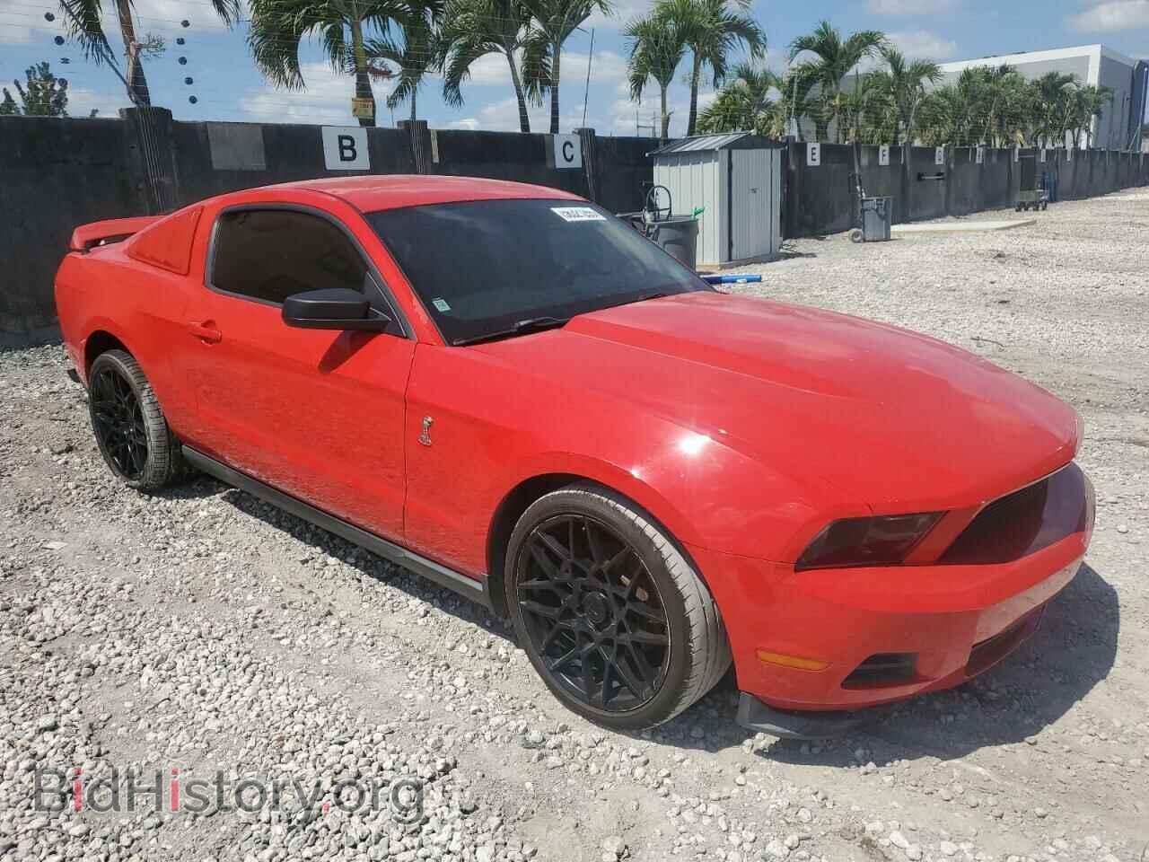 2011 FORD ALL Models - VIN: 1ZVBP8AM5B5166263 - Фото 4