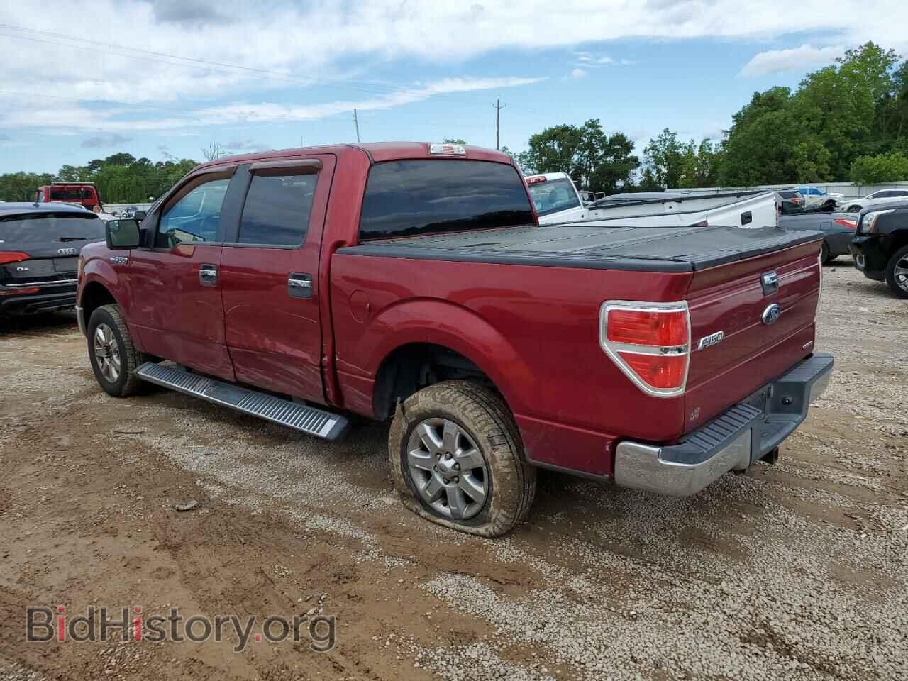 2013 FORD F-150 - VIN: 1FTFW1CF3DFD45184 - Photo 2