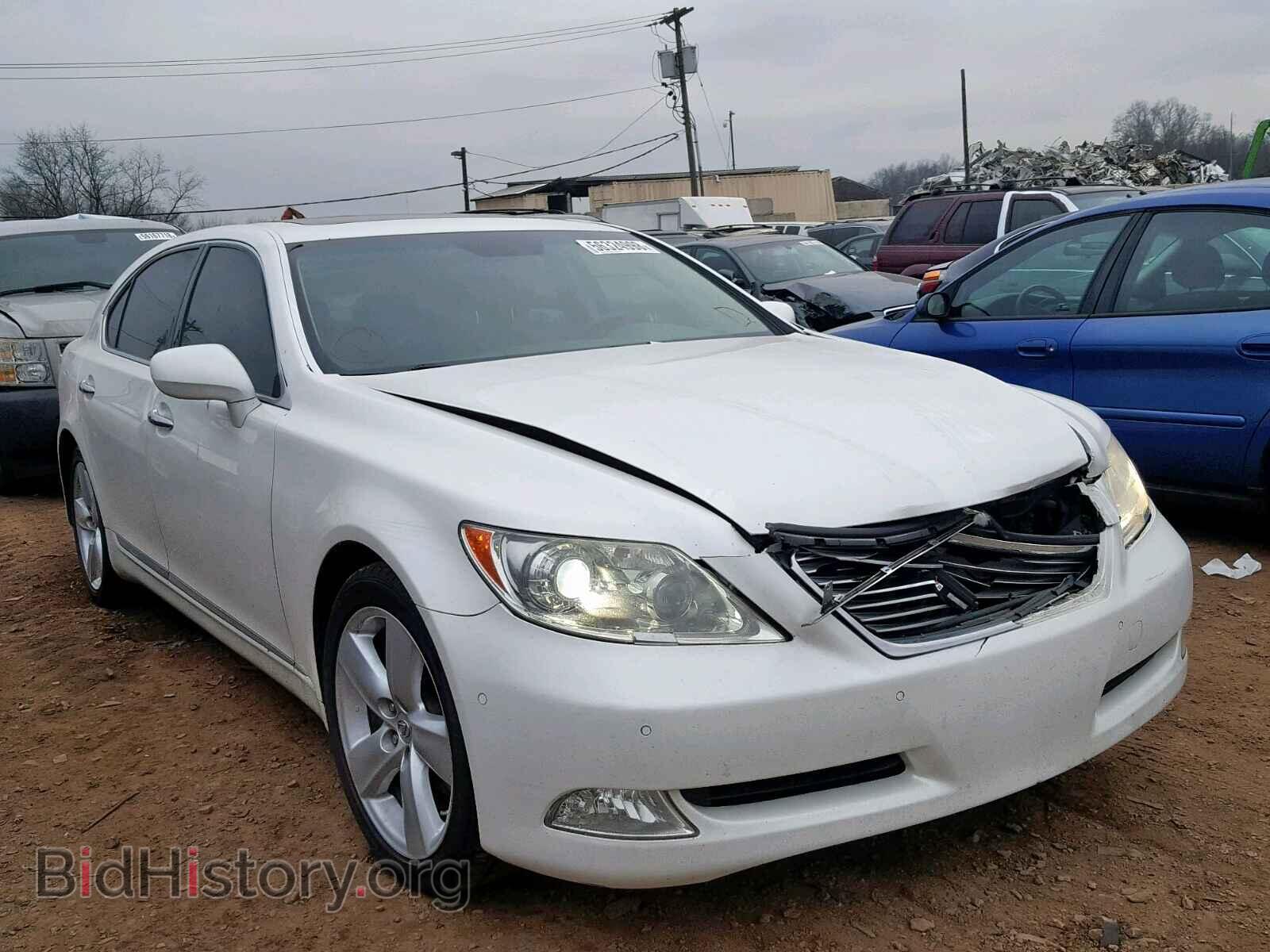 Фотография JTHGL46F485023741 - LEXUS LS460 2008