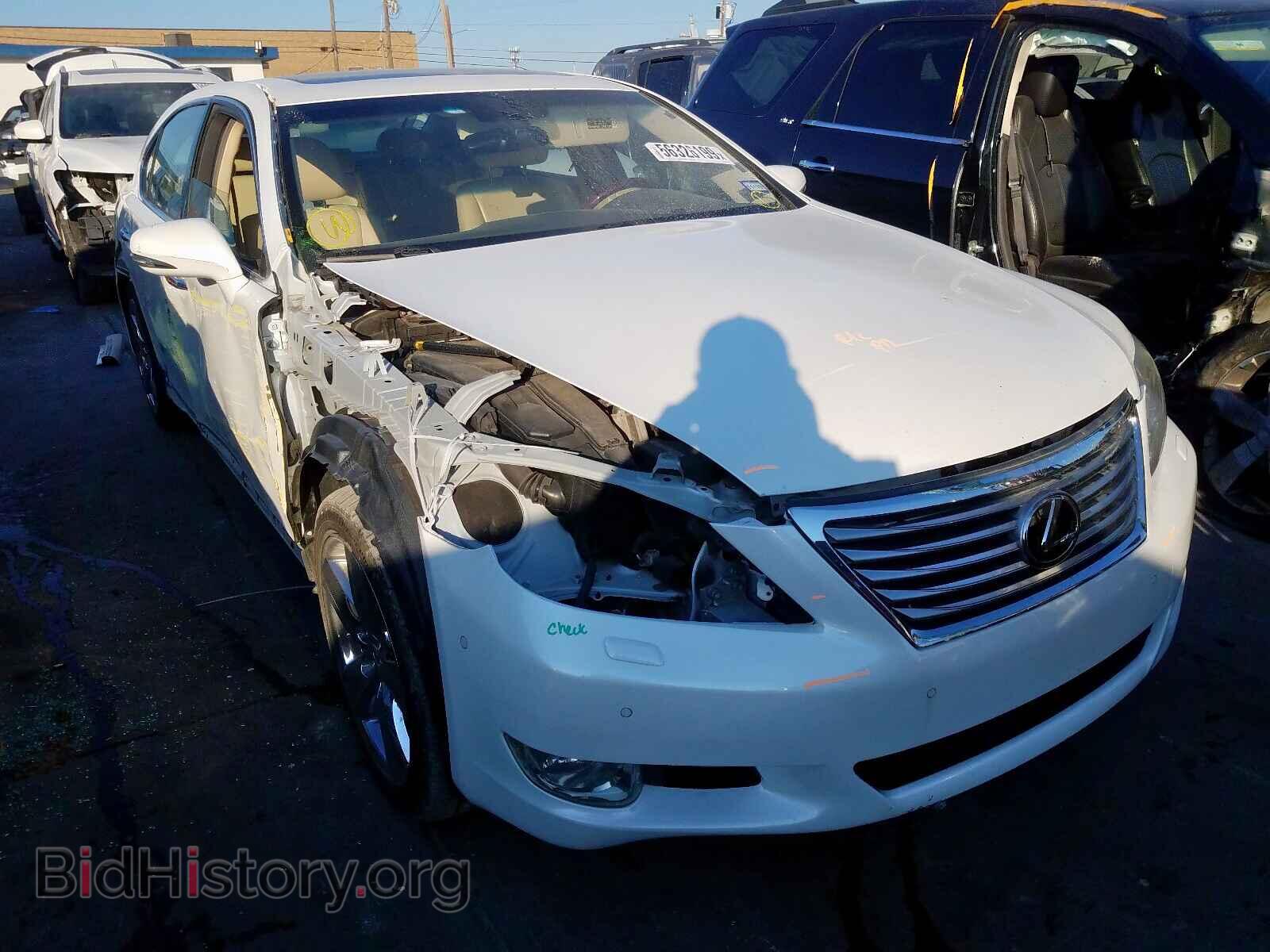 Фотография JTHGL5EF6C5045241 - LEXUS LS460 2012