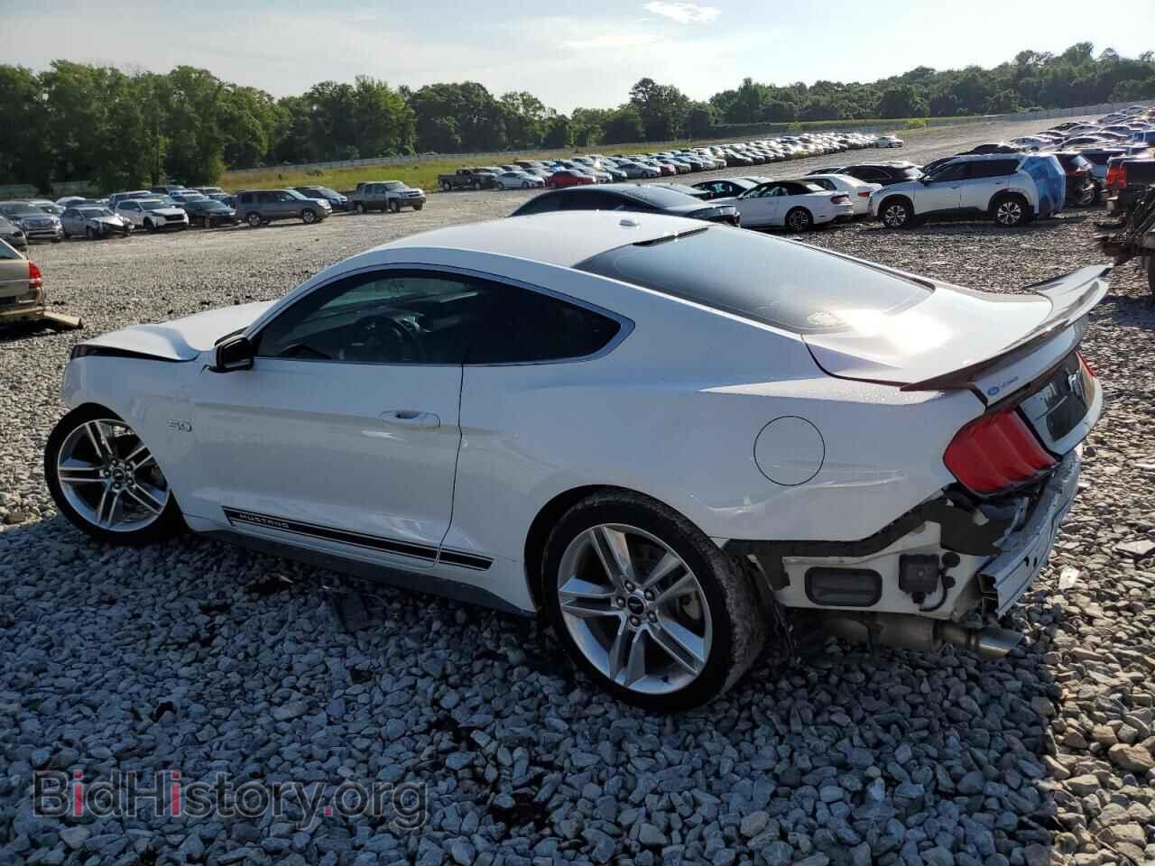 2019 FORD ALL Models - VIN: 1FA6P8TH9K5191483 - Фото 2