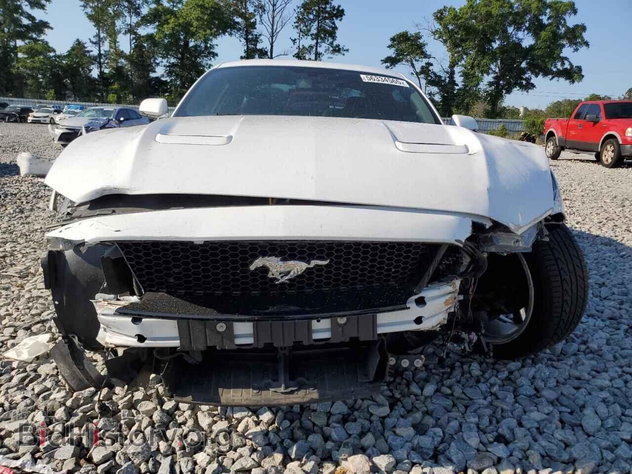 2019 FORD ALL Models - VIN: 1FA6P8TH9K5191483 - Фото 5