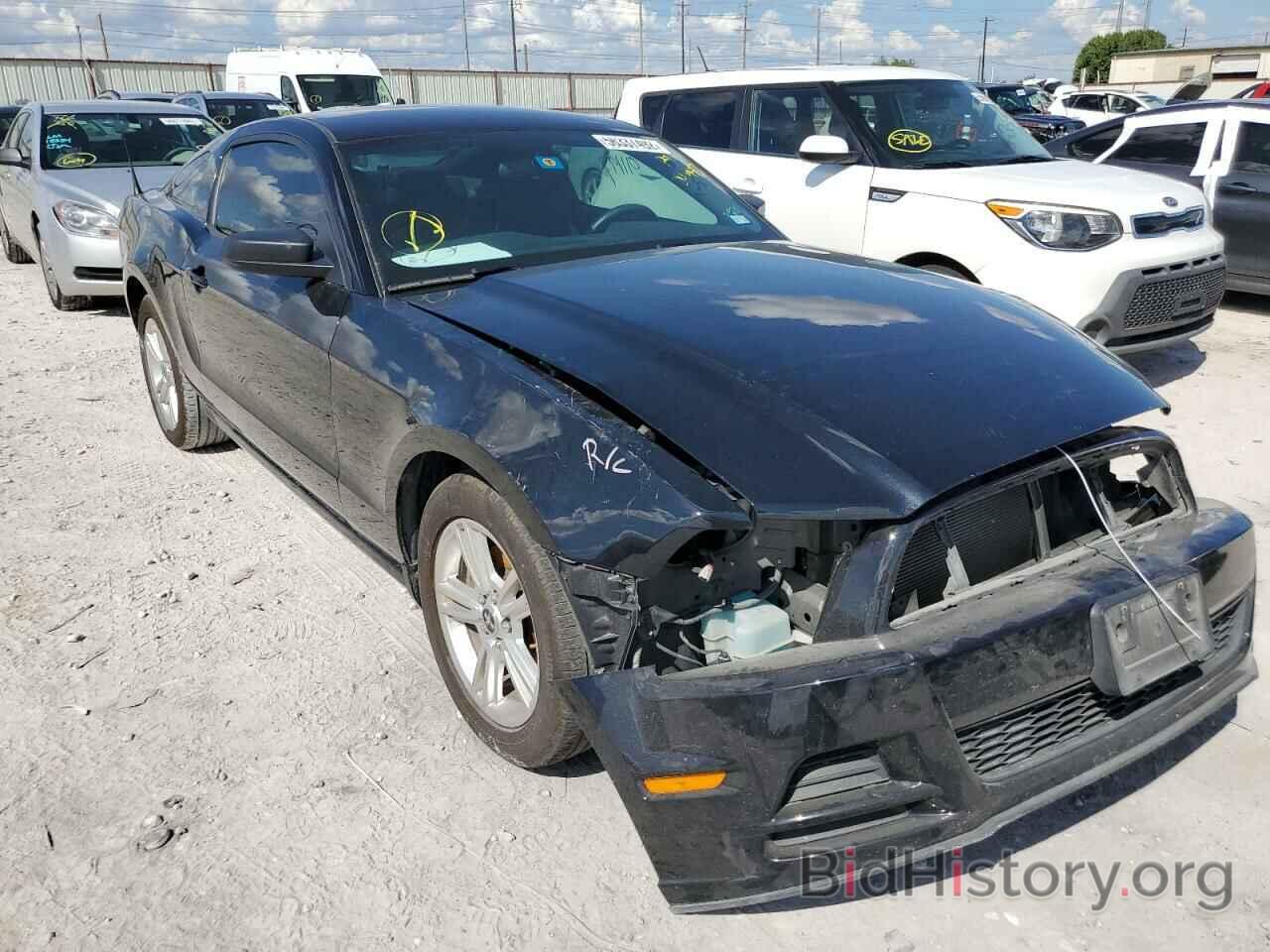 Photo 1ZVBP8AM8E5240957 - FORD MUSTANG 2014