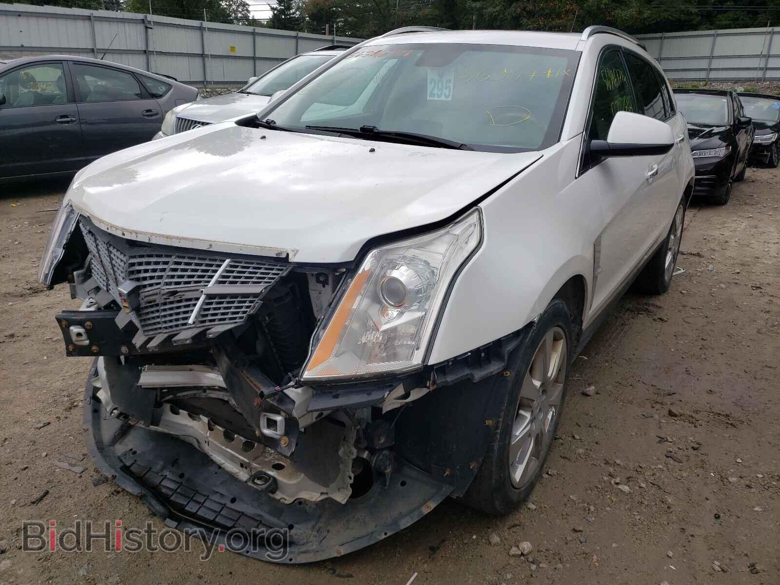 2010 CADILLAC SRX - VIN: 3GYFNFEY4AS559097 - Фото 2