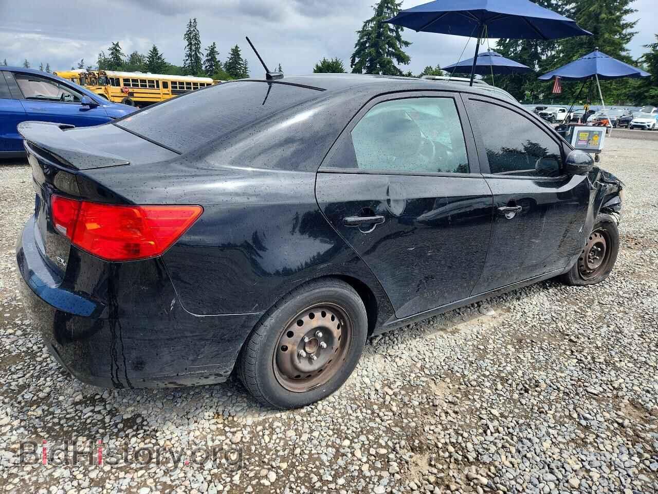 2012 KIA FORTE - VIN: KNAFU4A24C5508062 - Фото 3