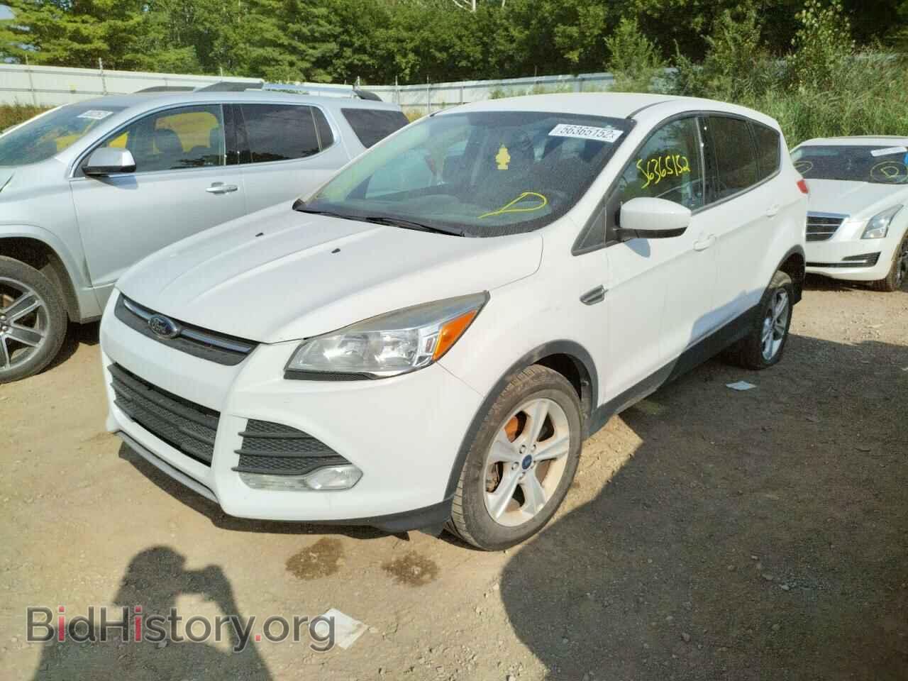 2014 FORD ESCAPE - VIN: 1FMCU0GX5EUB84304 - Фото 2