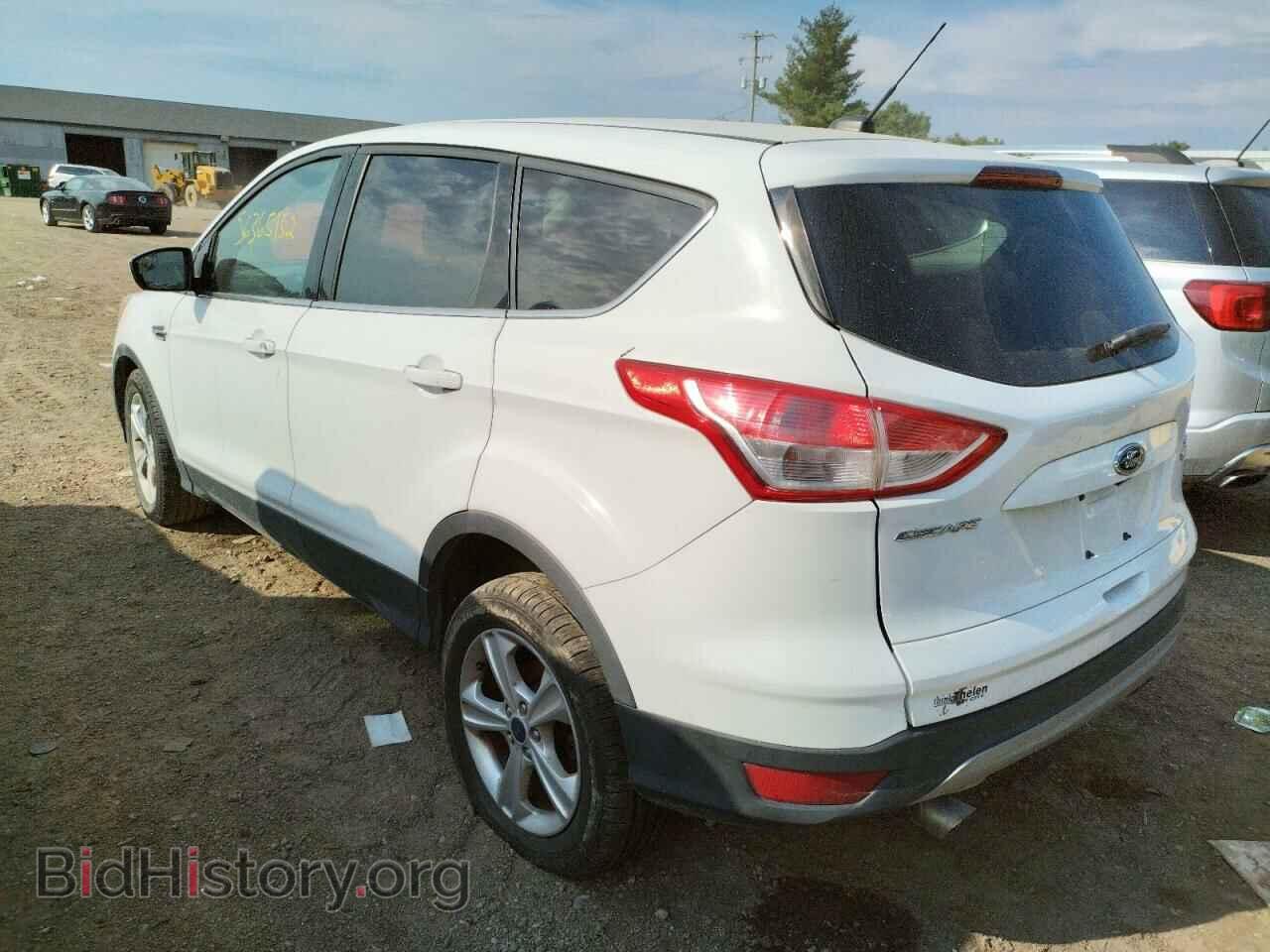 2014 FORD ESCAPE - VIN: 1FMCU0GX5EUB84304 - Фото 3