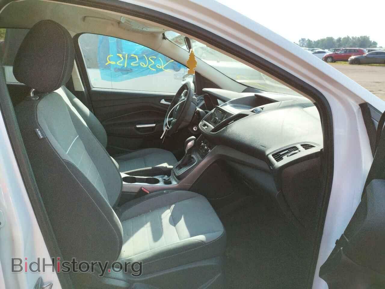2014 FORD ESCAPE - VIN: 1FMCU0GX5EUB84304 - Фото 5