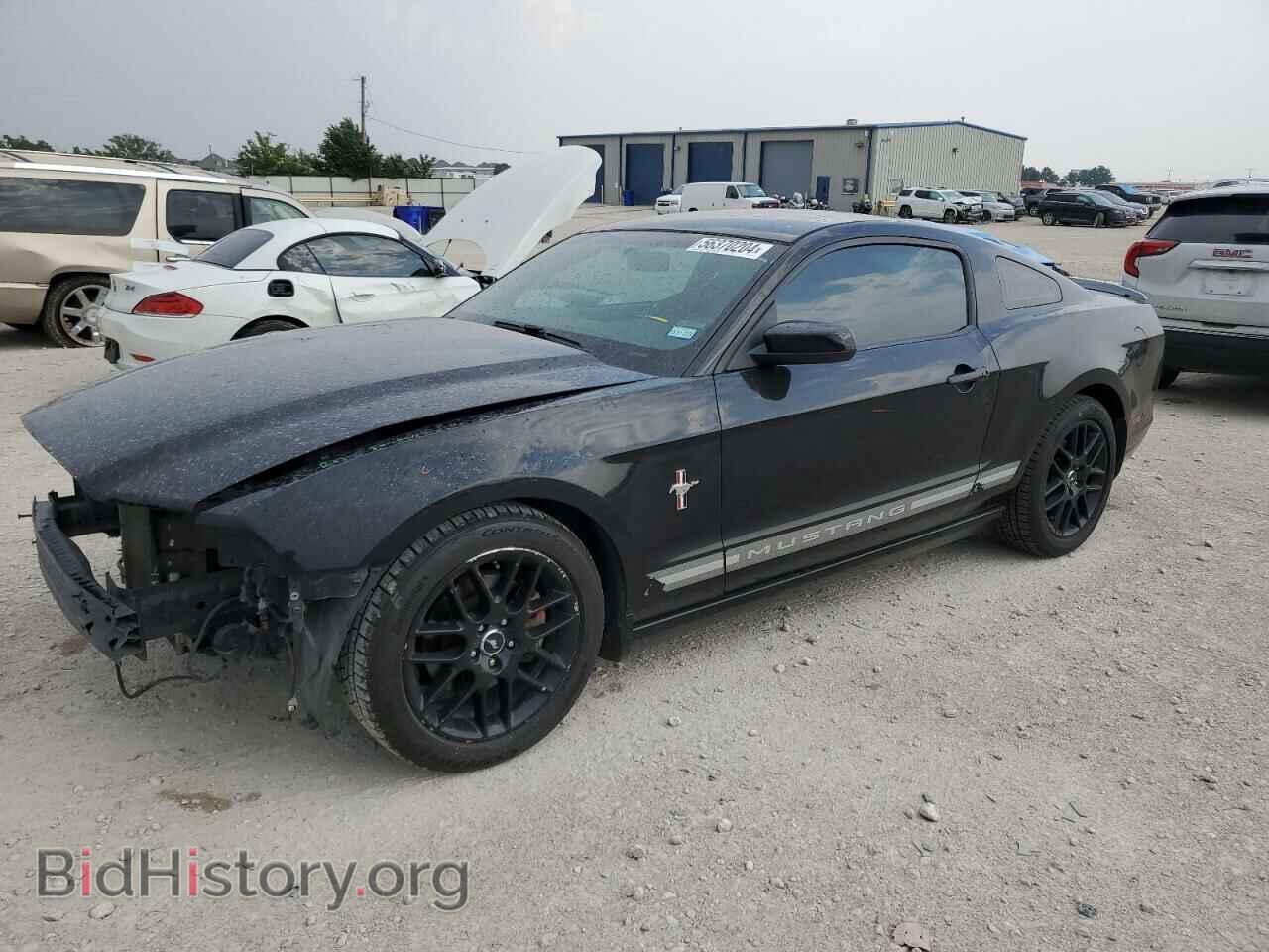 Фотография 1ZVBP8AM3D5247796 - FORD ALL Models 2013