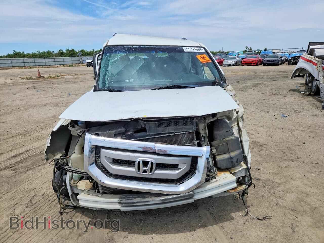 2009 HONDA PILOT - VIN: 5FNYF48479B038856 - Фото 5