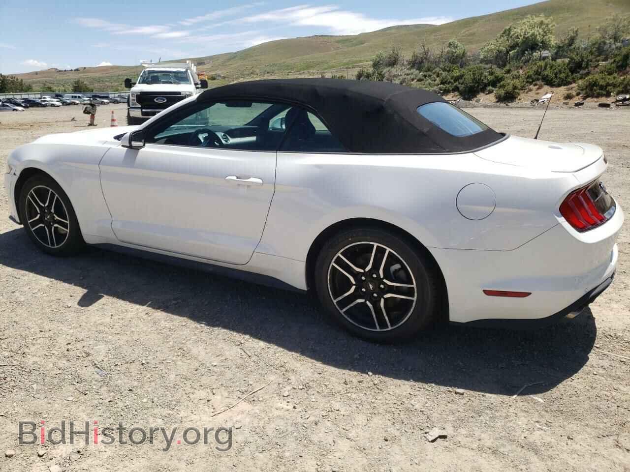 2021 FORD ALL Models - VIN: 1FATP8UH2M5124003 - Фото 2