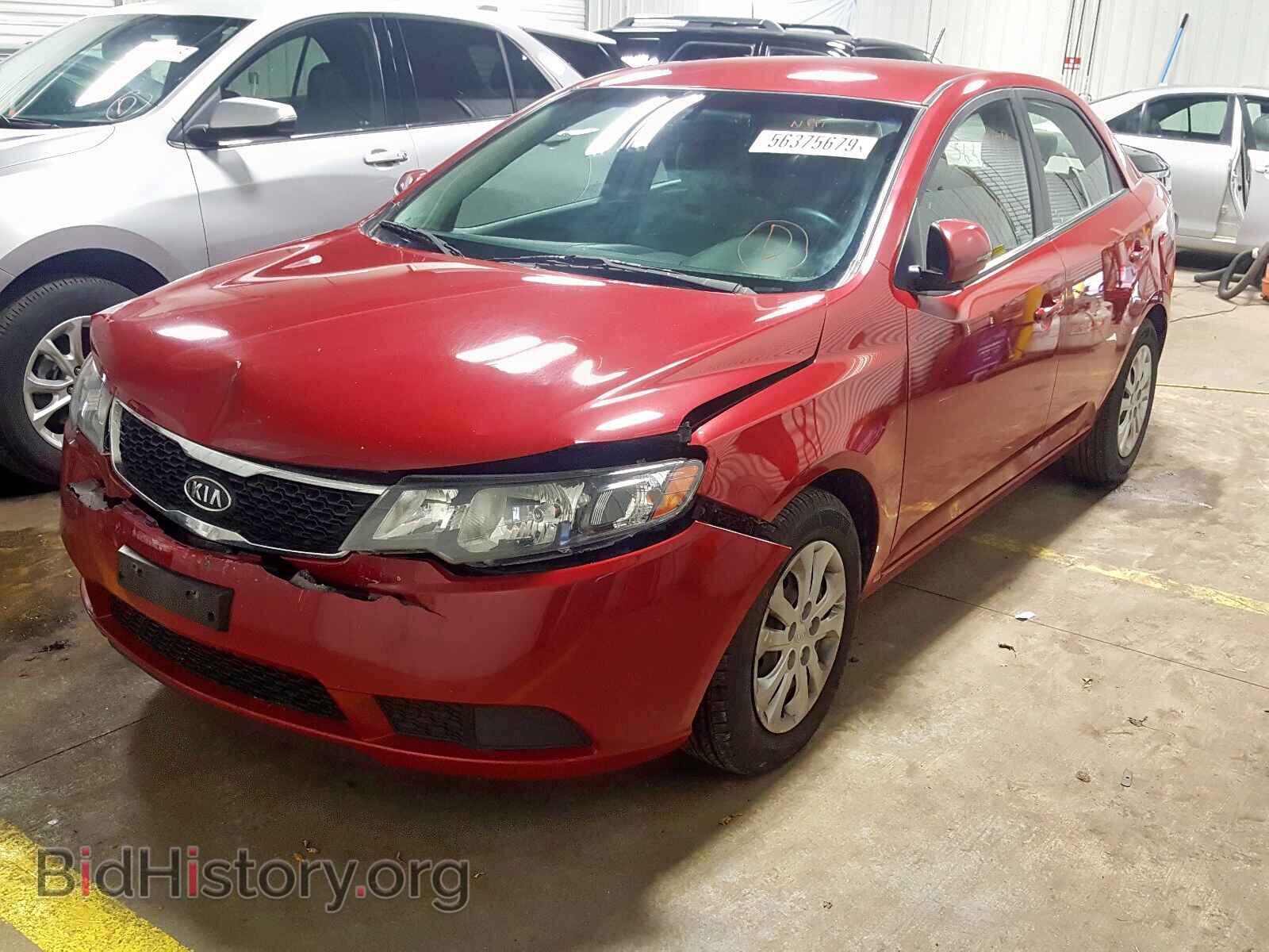 2013 KIA FORTE - VIN: KNAFU4A24D5647464 - Фото 2