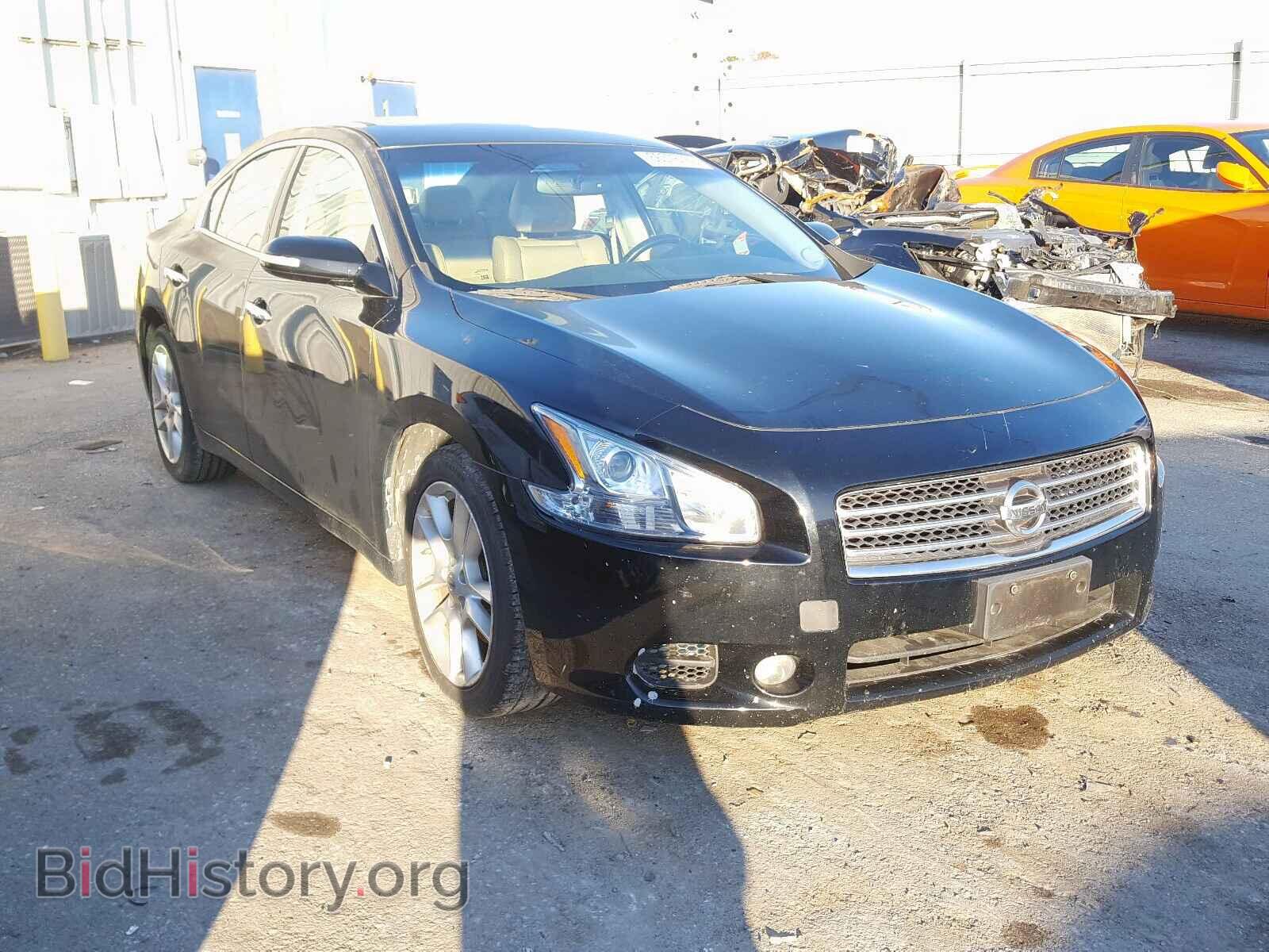Photo 1N4AA5AP7AC827090 - NISSAN MAXIMA 2010