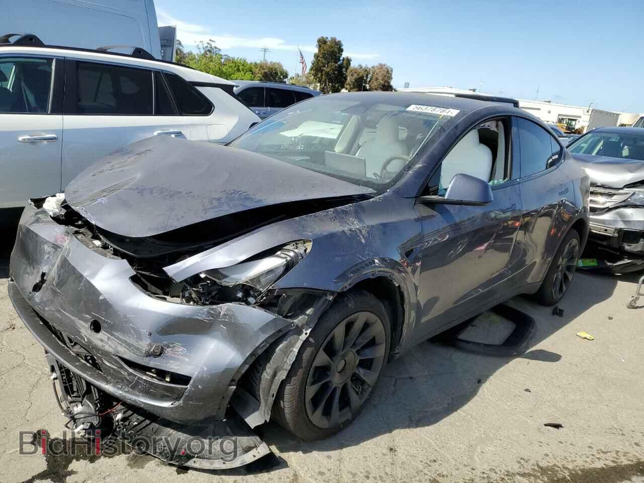 Photo 7SAYGDEE8PF706819 - TESLA MODEL Y 2023