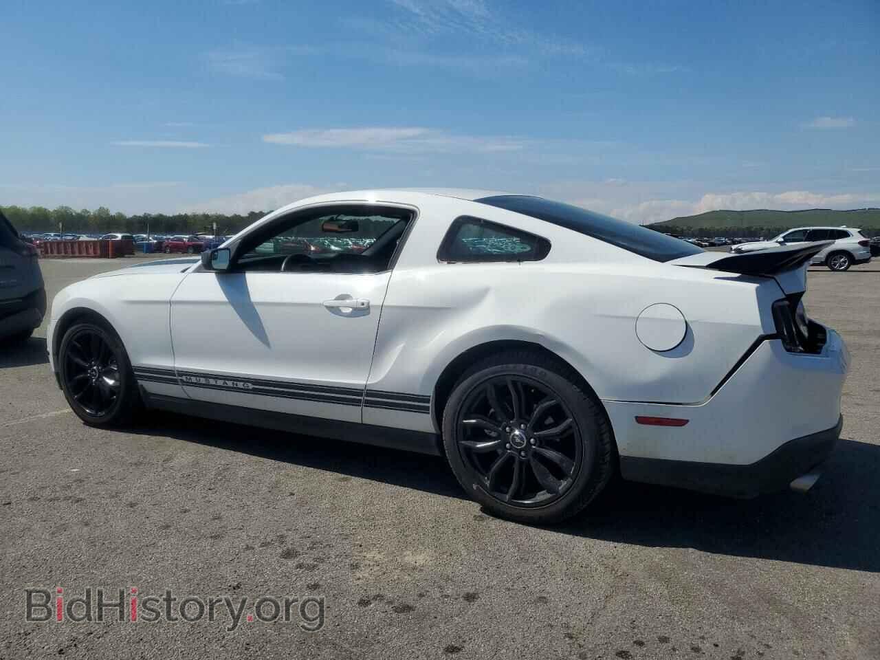 2012 FORD ALL Models - VIN: 1ZVBP8AMXC5210954 - Фото 2