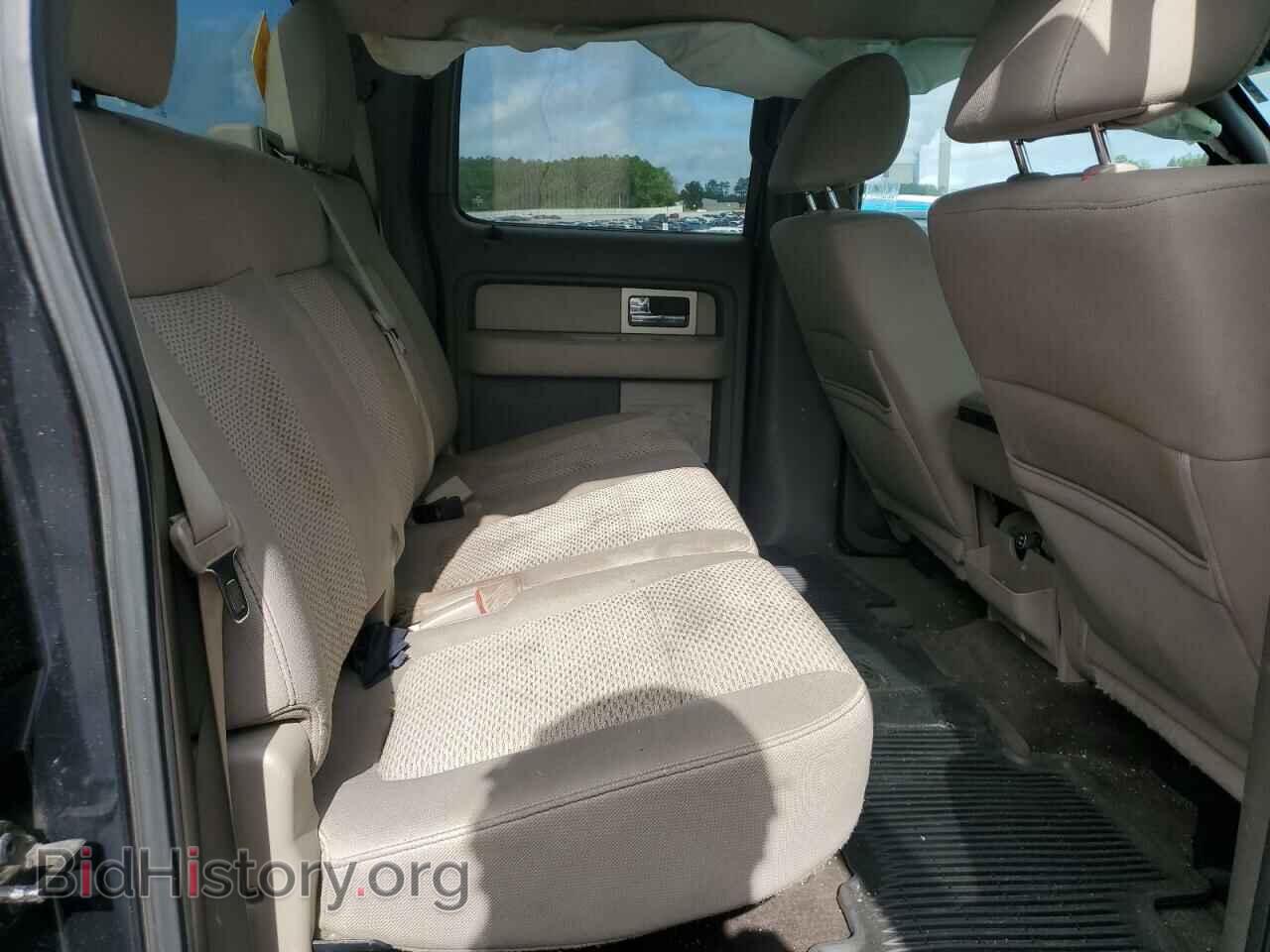 2010 FORD F-150 - VIN: 1FTEW1C81AFA97042 - Фото 10