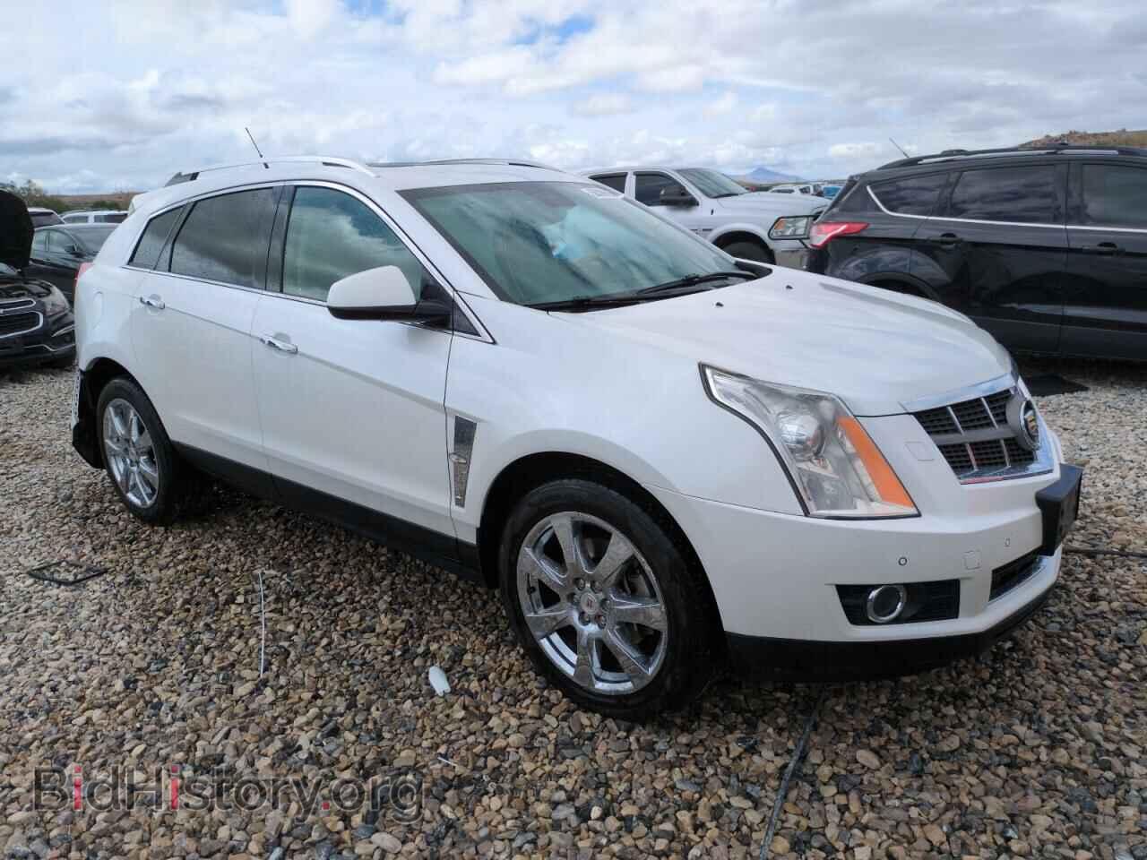 2010 CADILLAC SRX - VIN: 3GYFNFEY0AS530437 - Фото 4