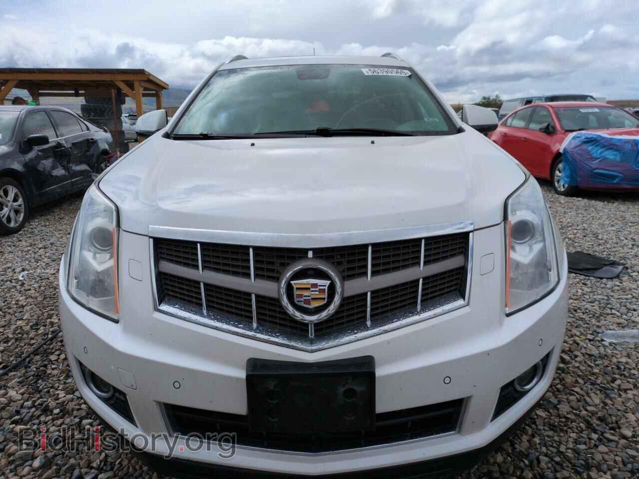 2010 CADILLAC SRX - VIN: 3GYFNFEY0AS530437 - Фото 5