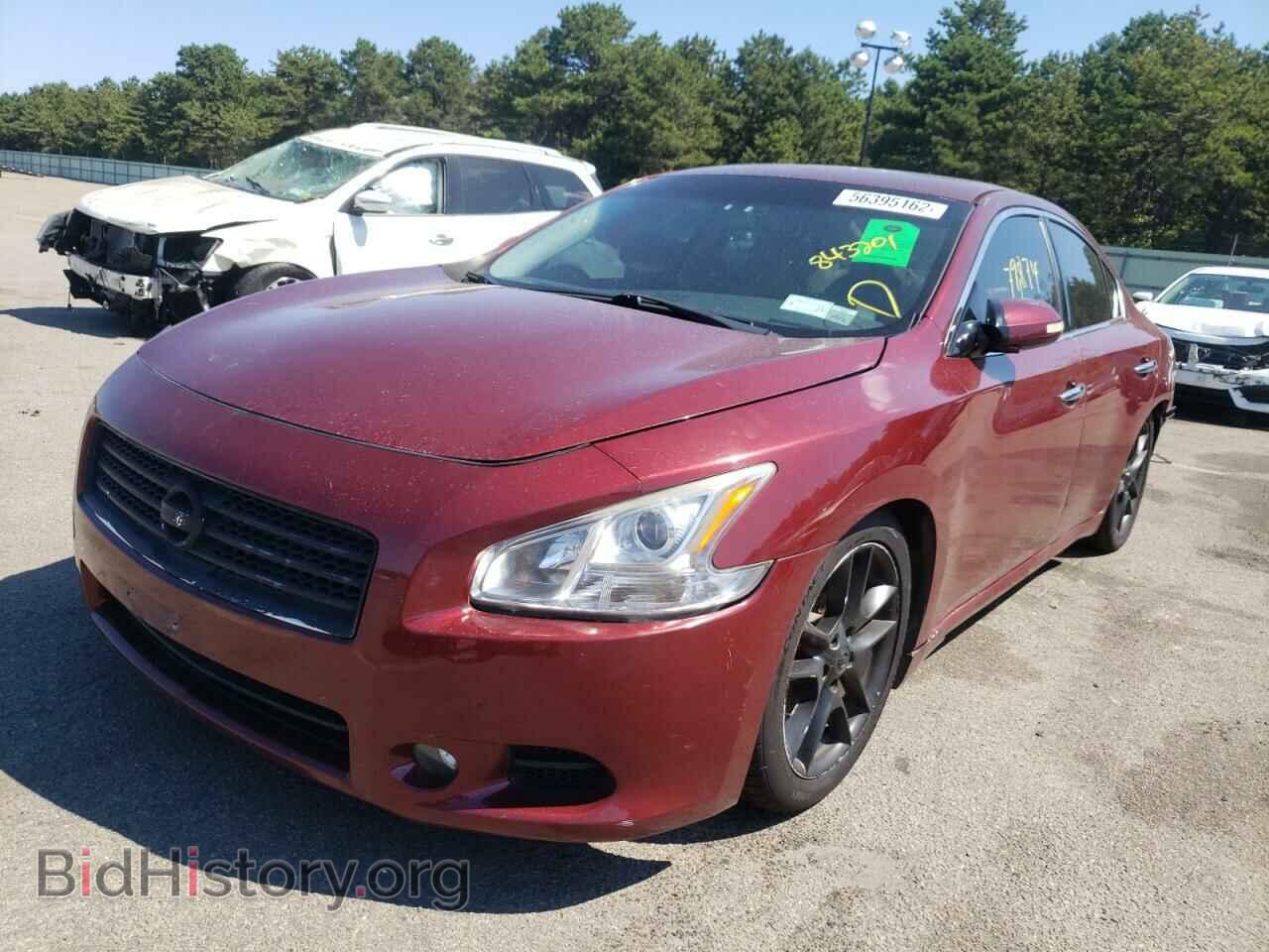 2010 NISSAN MAXIMA - VIN: 1N4AA5AP4AC843201 - Фото 2