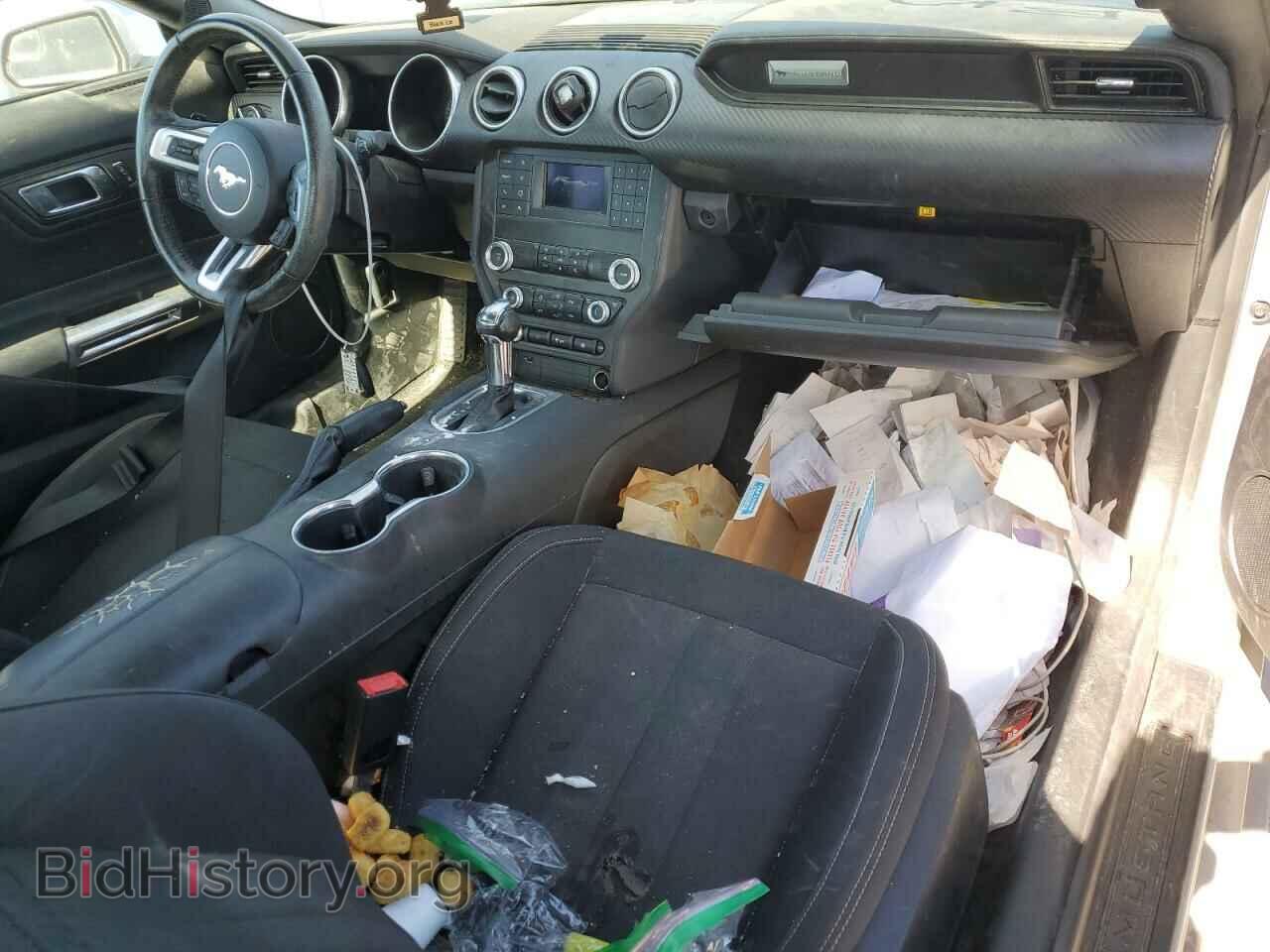 2019 FORD ALL Models - VIN: 1FA6P8THXK5116579 - Photo 8