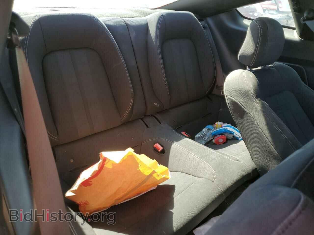 2019 FORD ALL Models - VIN: 1FA6P8THXK5116579 - Photo 10