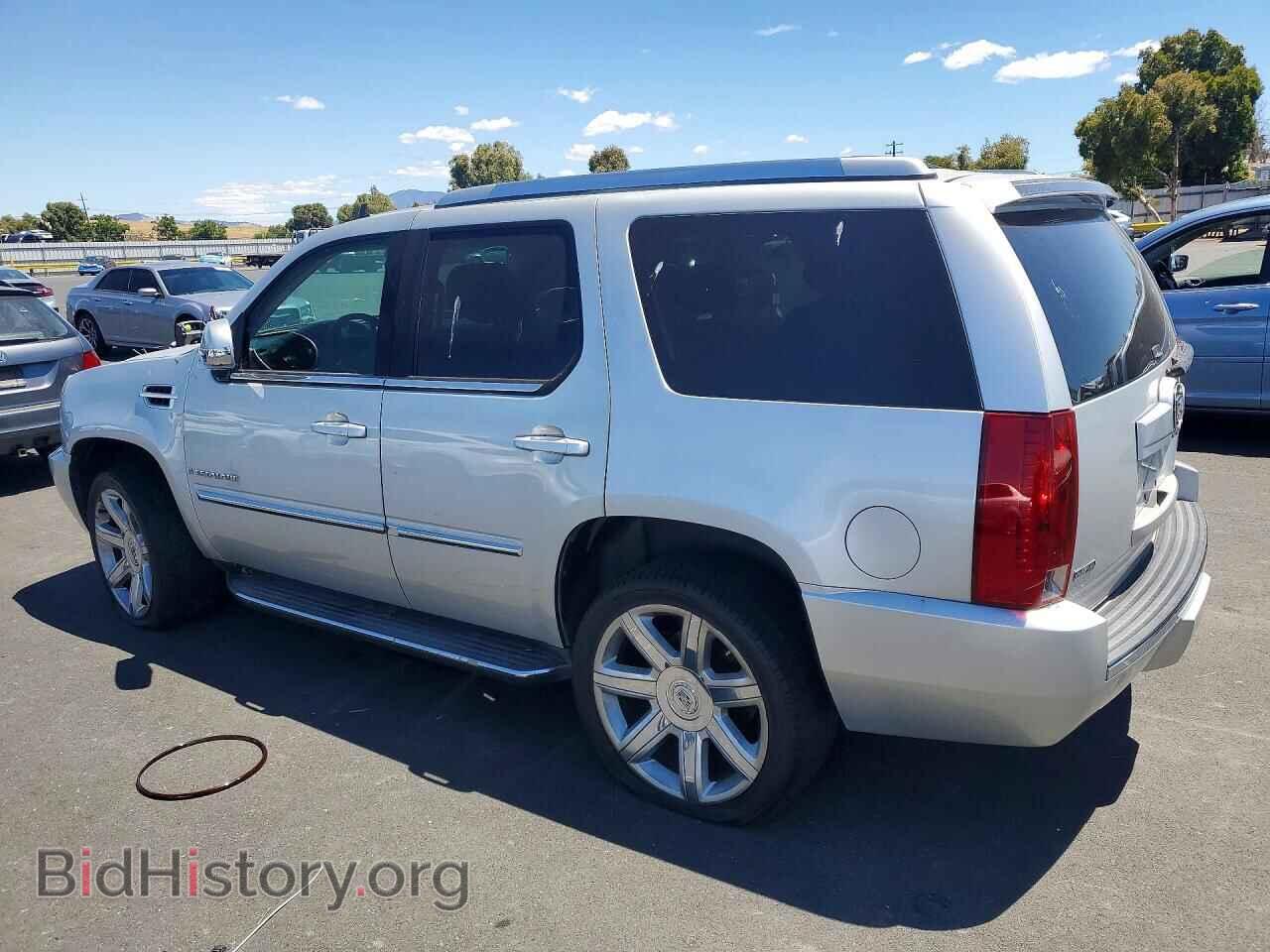 2010 CADILLAC ESCALADE - VIN: 1GYUCCEF6AR154176 - Фото 2