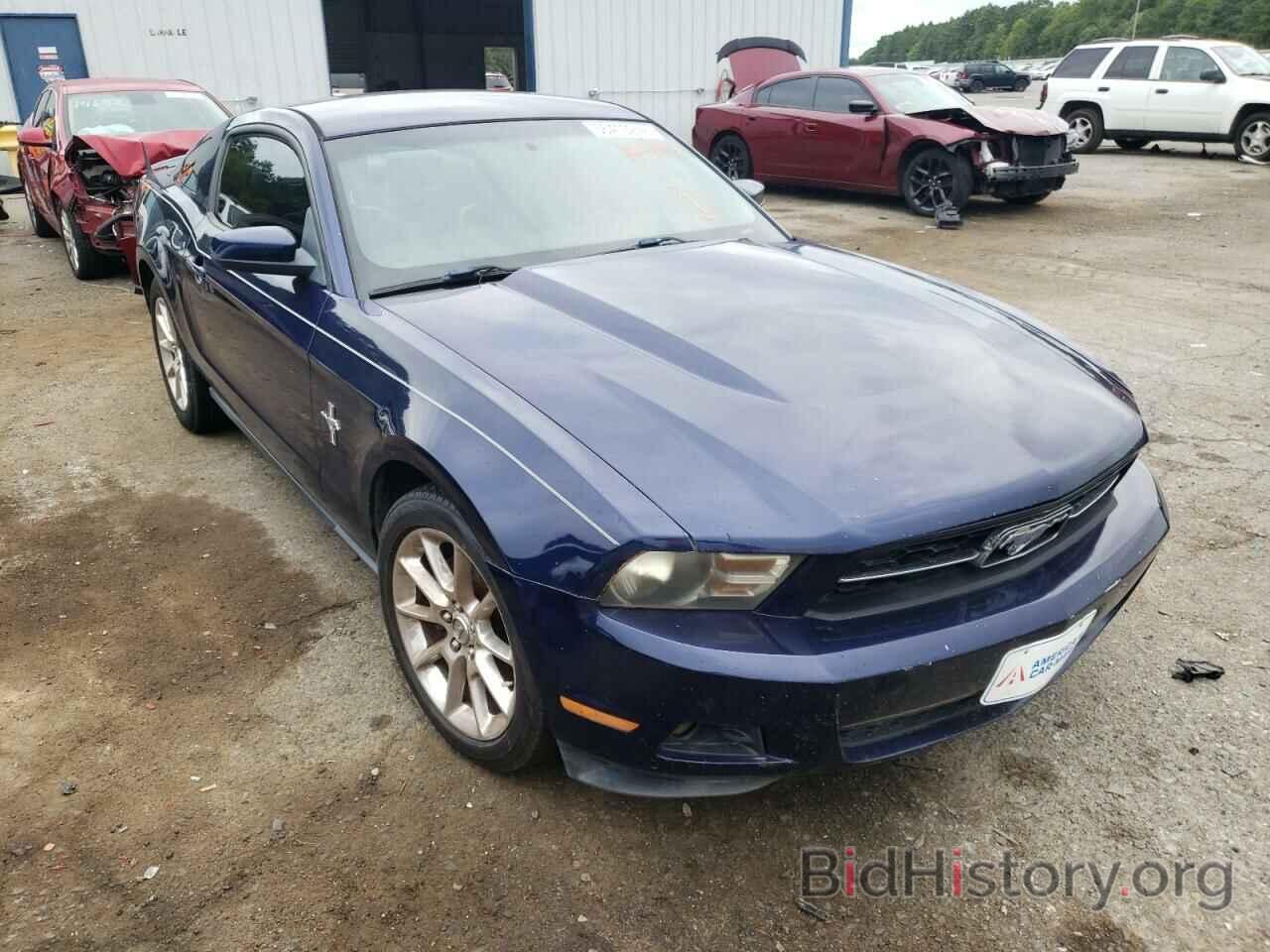 Photo 1ZVBP8AN1A5145143 - FORD MUSTANG 2010