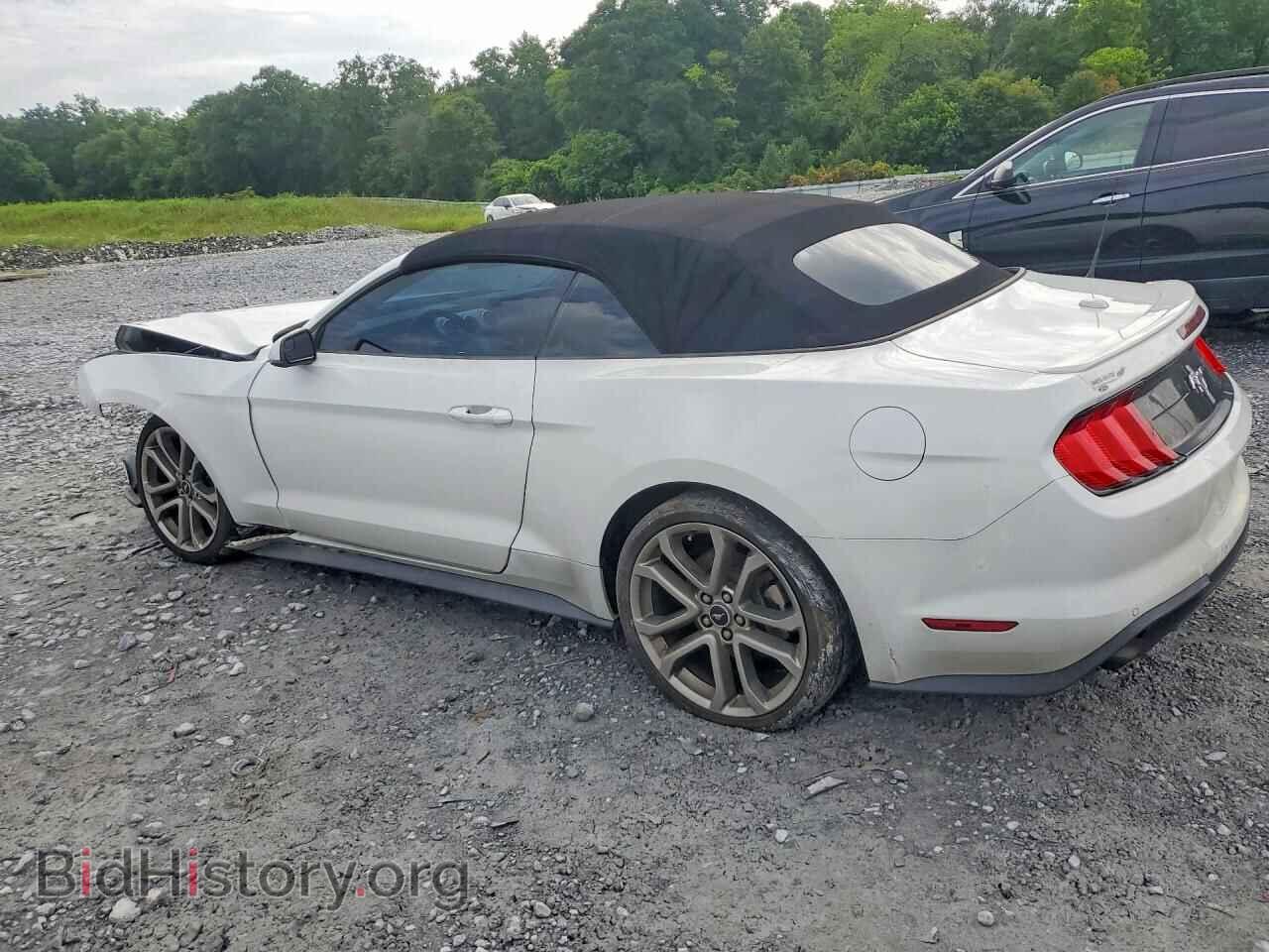 2019 FORD MUSTANG - VIN: 1FATP8UH9K5116686 - Фото 2