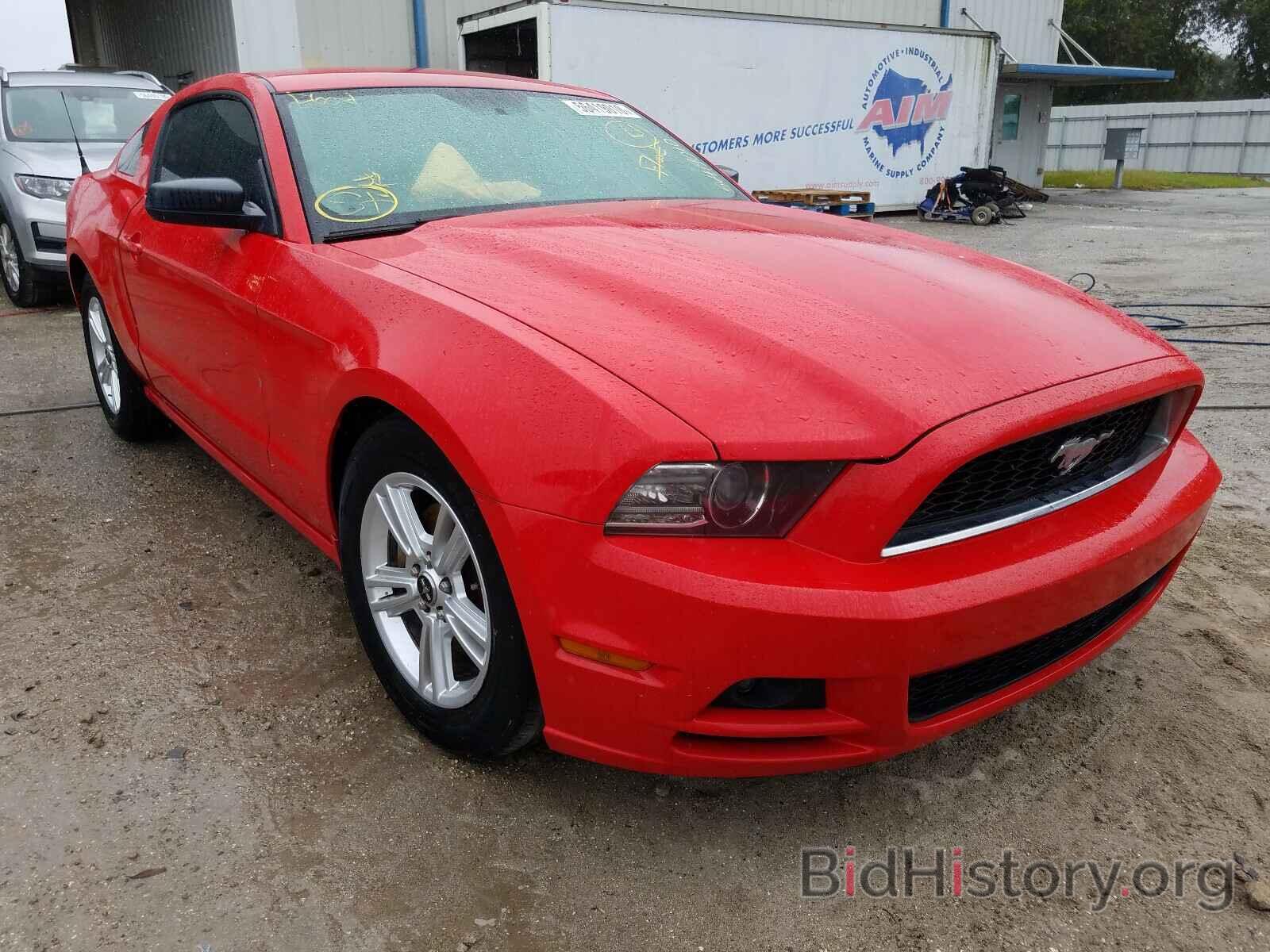 Photo 1ZVBP8AM9E5214545 - FORD MUSTANG 2014