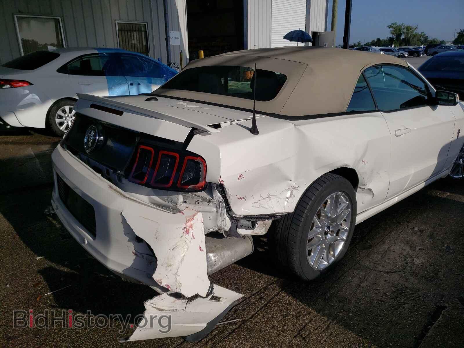 2013 FORD MUSTANG - VIN: 1ZVBP8EM6D5218321 - Фото 9
