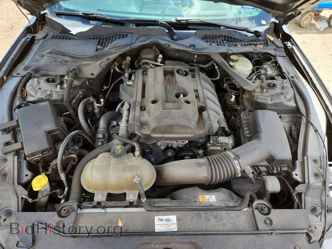 2017 FORD MUSTANG - VIN: 1FA6P8TH0H5286684 - Photo 11