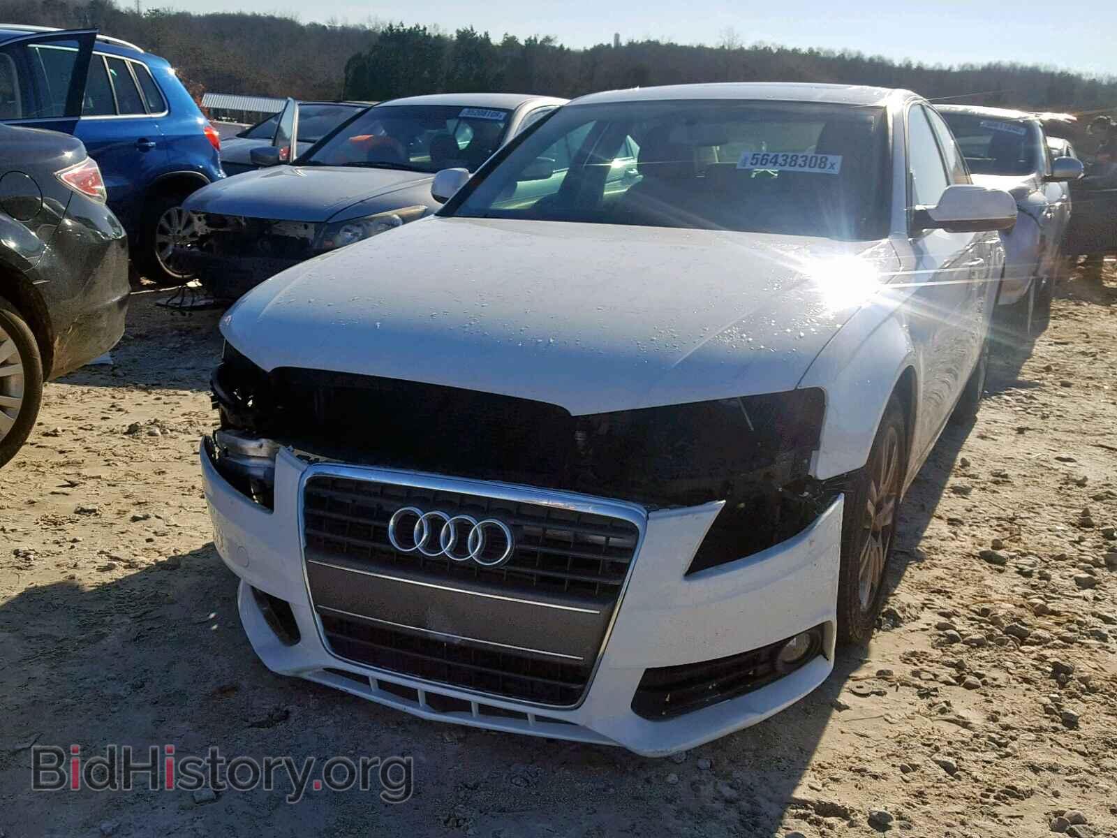 2010 AUDI A4 - VIN: WAUAFAFL7AN024128 - Фото 2