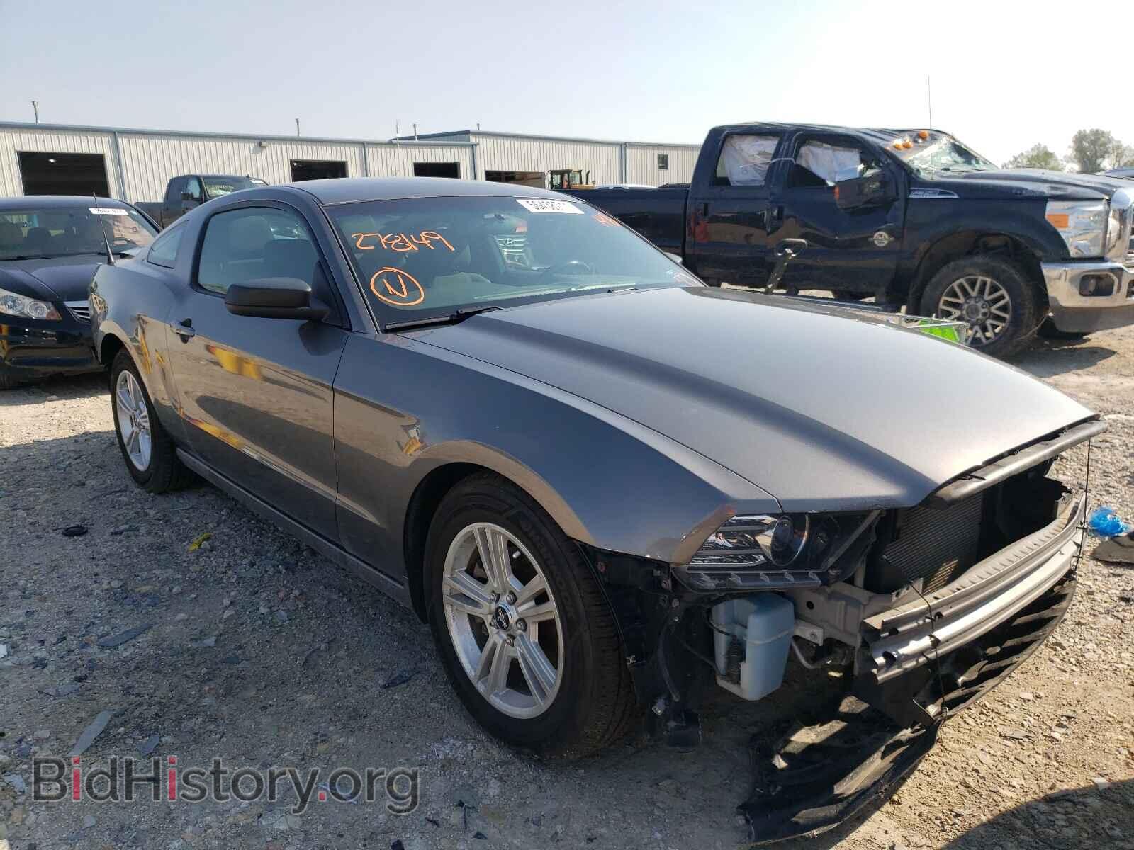 Фотография 1ZVBP8AM2E5278149 - FORD MUSTANG 2014