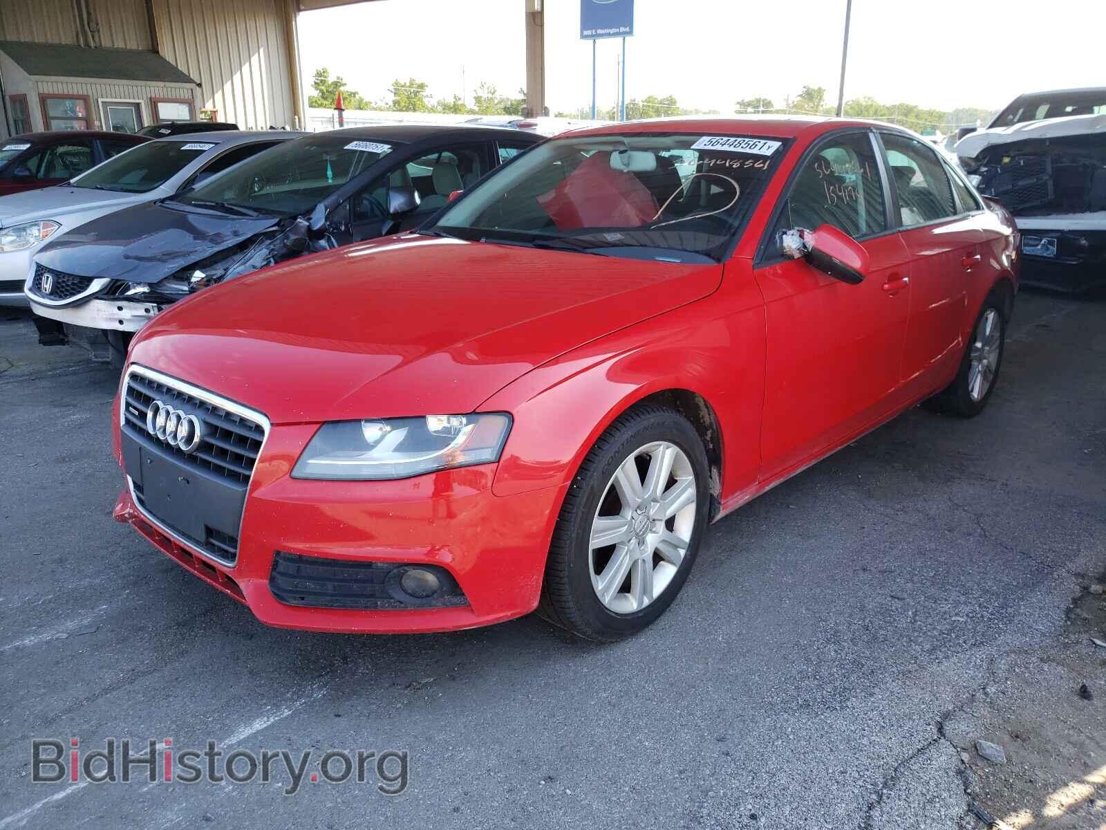 2010 AUDI A4 - VIN: WAUBFAFL0AN035668 - Фото 2