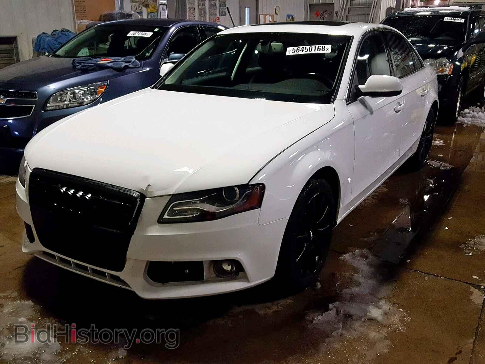 2011 AUDI A4 - VIN: WAUFFAFL0BN004567 - Фото 2