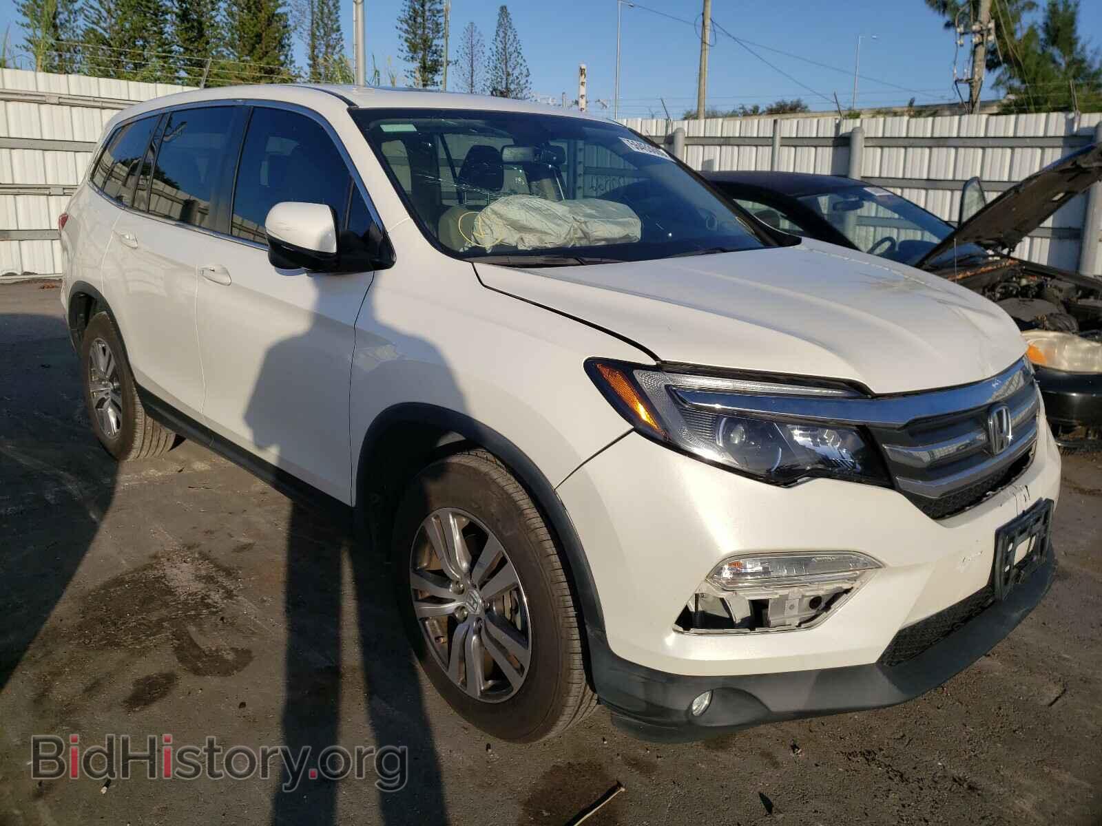 Photo 5FNYF5H58HB016636 - HONDA PILOT 2017