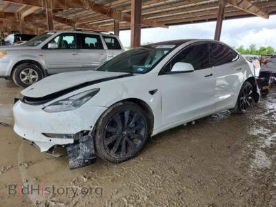 2019 Tesla MODEL 3, white — VIN 5YJ3E1EB3KF469585, Copart