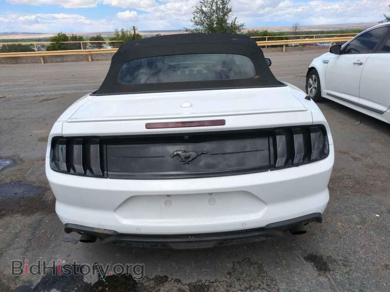 2019 FORD ALL Models - VIN: 1FATP8UH2K5171898 - Фото 6