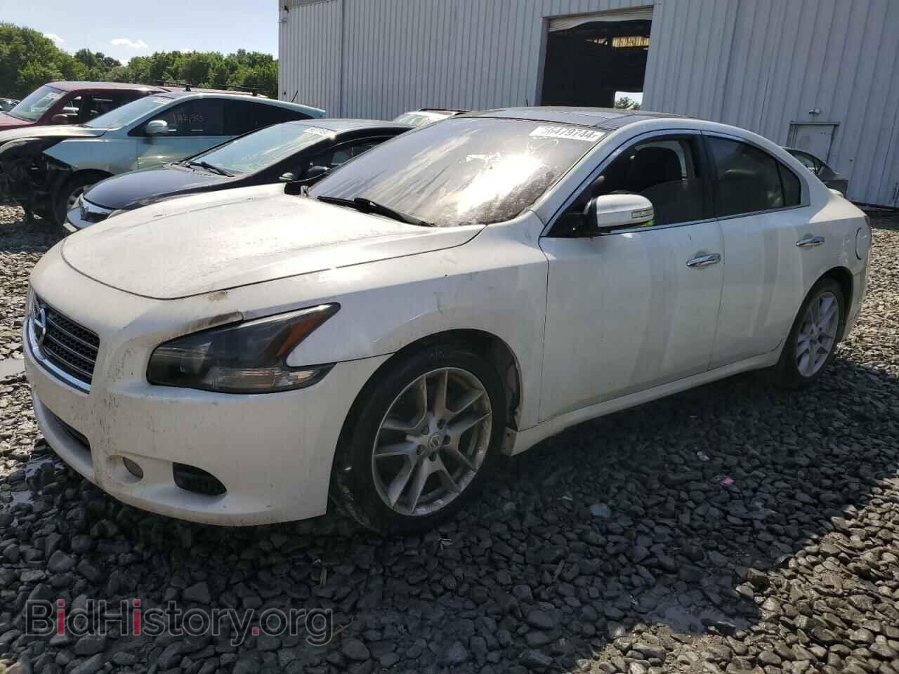 Фотография 1N4AA5AP2BC818802 - NISSAN MAXIMA 2011
