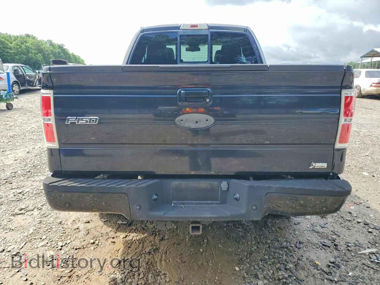 2010 FORD F150 - VIN: 1FTFX1EV7AFB16844 - Фото 6