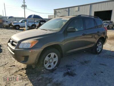2011 Toyota RAV4, коричневый — VIN 2T3ZF4DV7BW087851, Copart