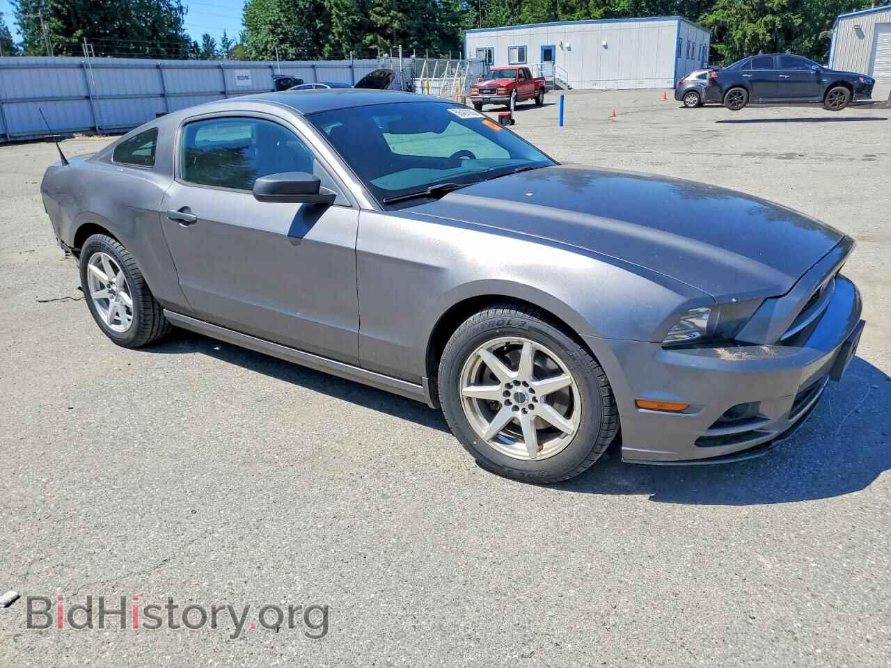 2014 FORD MUSTANG - VIN: 1ZVBP8AM2E5281567 - Фото 4
